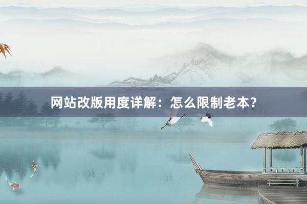 网站改版用度详解：怎么限制老本？